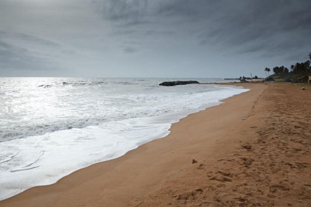 Villa Sunbird Negombo Exterior photo